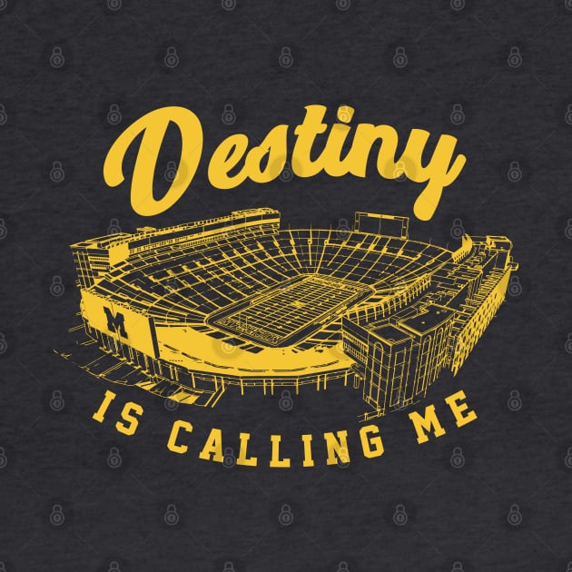 Destiny is calling me by J31Designs